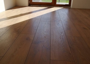 Persecto Dąb Angeli