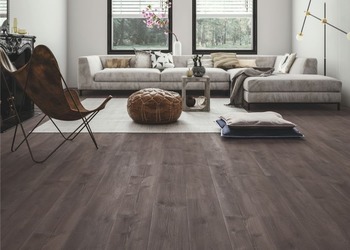 Balterio - Dąb Smolisty