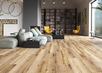 Arteo - Dąb Kalymnos