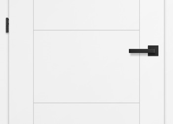 Drzwi Erkado - Budleja